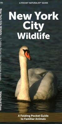 New York City Wildlife -  Waterford Press