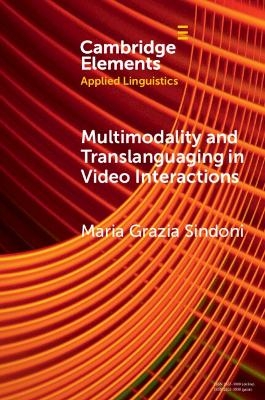 Multimodality and Translanguaging in Video Interactions - Maria Grazia Sindoni