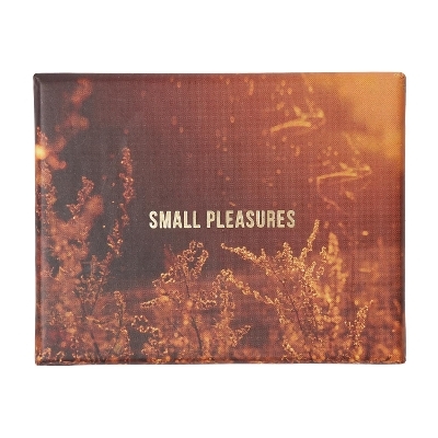 Small Pleasures -  The School of Life