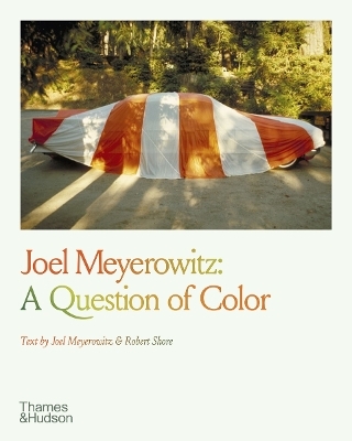 Joel Meyerowitz: A Question of Color - 