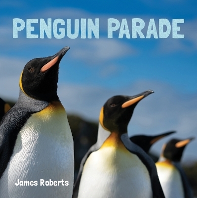 Penguin Parade - 