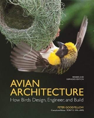 Avian Architecture  Revised and Expanded Edition - Peter Goodfellow
