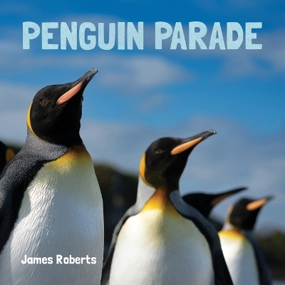 Penguin Parade - 