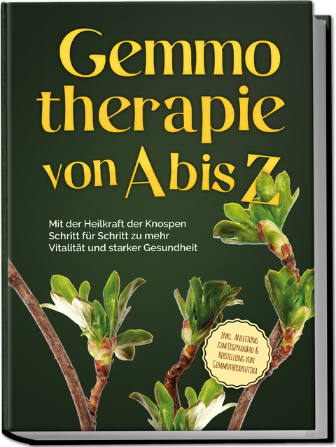 Gemmotherapie von A bis Z: Mit der Heilkraft der Knospen Schritt für Schritt zu mehr Vitalität und starker Gesundheit - inkl. Anleitung zum Eigenanbau & Herstellung von Gemmotherapeutika - Karin Thiemann