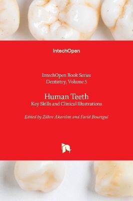 Human Teeth - 