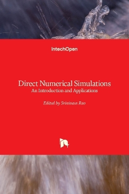 Direct Numerical Simulations - 