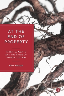 At the End of Property - Veit Braun