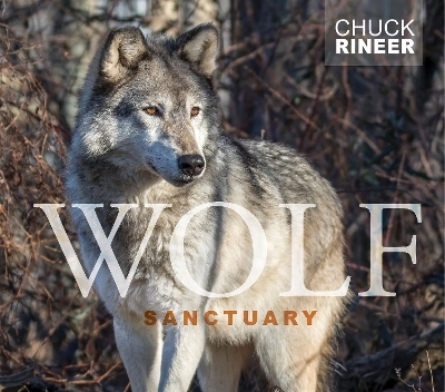 Wolf Sanctuary - Chuck Rineer
