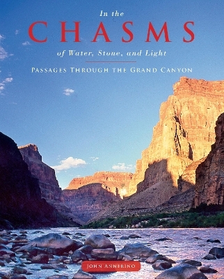 In the Chasms of Water, Stone, and Light - John Annerino