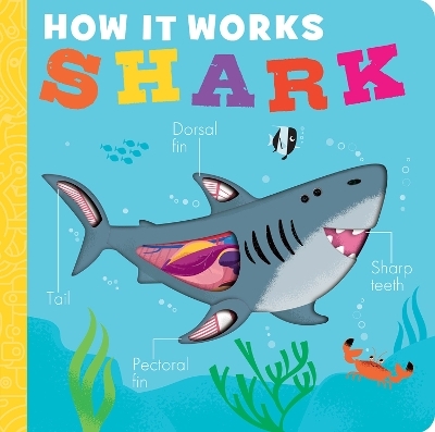 How It Works: Shark - Molly Littleboy