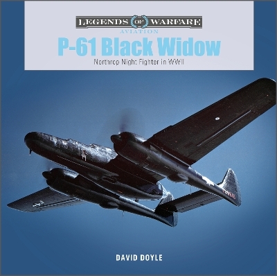 P-61 Black Widow - David Doyle