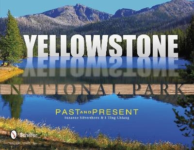 Yellowstone National Park - Suzanne Silverthorn