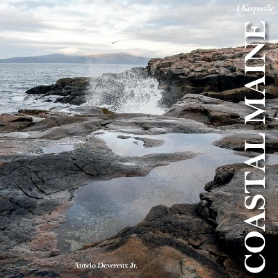 Coastal Maine - Antelo Devereux