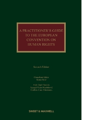 A Practitioner's Guide to the European Convention on Human Rights - Karen Reid, Guillem Cano Palomares, Aida Grgic Boulais