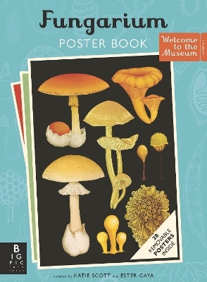 Fungarium Poster Book - Ester Gaya