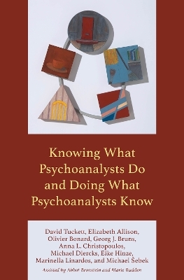 Knowing What Psychoanalysts Do and Doing What Psychoanalysts Know - David Tuckett, Elizabeth Allison, Olivier Bonard, Georg J. Bruns, Anna L. Christopoulos