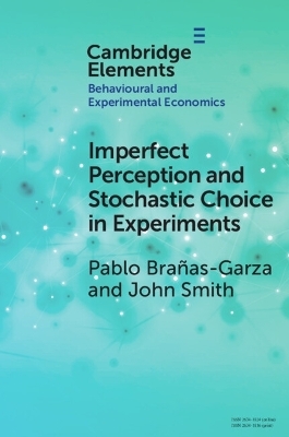 Imperfect Perception and Stochastic Choice in Experiments - Pablo Brañas-Garza, John Alan Smith