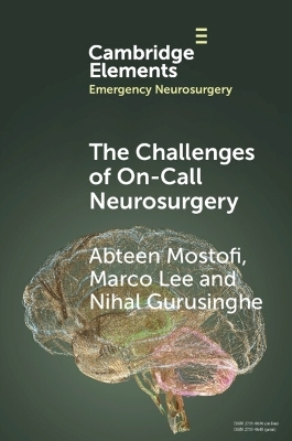 The Challenges of On-Call Neurosurgery - Abteen Mostofi, Marco Lee, Nihal Gurusinghe