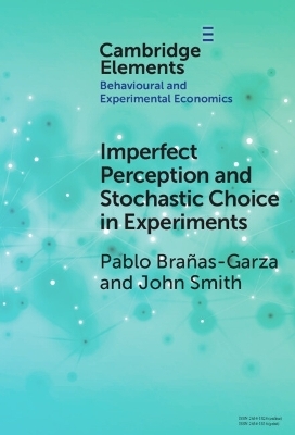 Imperfect Perception and Stochastic Choice in Experiments - Pablo Brañas-Garza, John Alan Smith