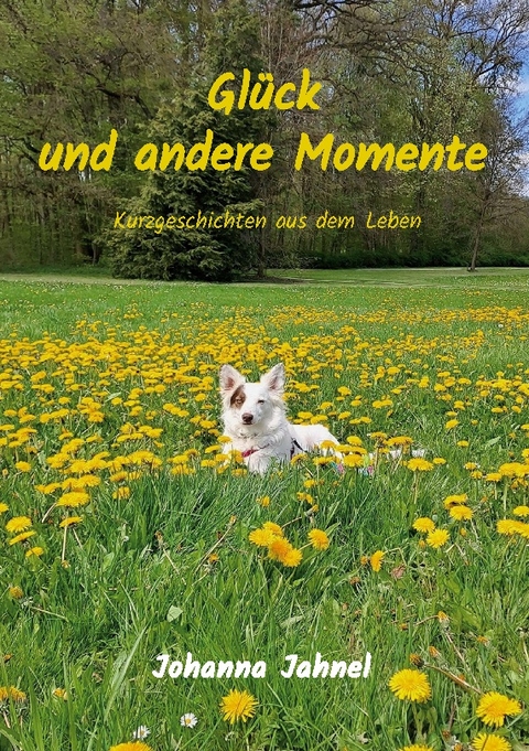 Glück und andere Momente - Johanna Jahnel