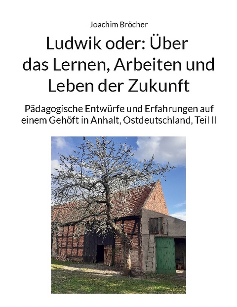 Ludwik oder: Über das Lernen, Arbeiten und Leben der Zukunft - Joachim Bröcher