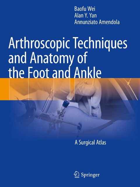 Arthroscopic Techniques and Anatomy of the Foot and Ankle - Baofu Wei, Alan Y. Yan, Annunziato Amendola