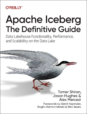 Apache Iceberg: The Definitive Guide - Tomer Shiran, Jason Hughes, Alex Merced, Dipankar Mazumdar