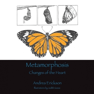 Metamorphosis - Andrea Erickson
