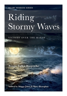 Riding Stormy Waves - Ringu Tulku