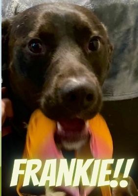 Frankie - Cassandra Daniel