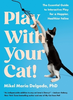 Play With Your Cat! - Mikel Maria Delgado