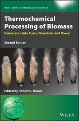 Thermochemical Processing of Biomass - Brown, Robert C.