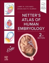 Netter's Atlas of Human Embryology - Cochard, Larry R.; Dueñas, Angelique N.