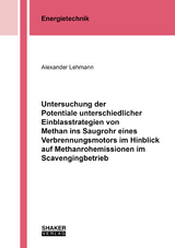 Untersuchung der Potentiale unterschiedlicher Einblasstrategien von Methan ins Saugrohr eines Verbrennungsmotors im Hinblick auf Methanrohemissionen im Scavengingbetrieb - Alexander Lehmann