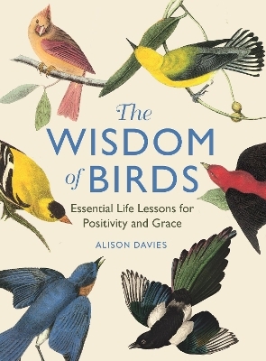 The Wisdom of Birds - Alison Davies