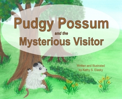Pudgy Possum and the Mysterious Visitor - Kathy S Elasky
