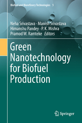 Green Nanotechnology for Biofuel Production - 