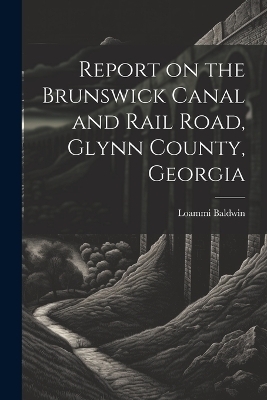 Report on the Brunswick Canal and Rail Road, Glynn County, Georgia - Loammi Baldwin