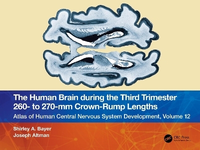 The Human Brain during the Third Trimester 260– to 270–mm Crown-Rump Lengths - Shirley A. Bayer, Joseph Altman