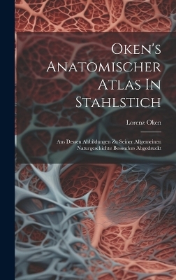Oken's Anatomischer Atlas In Stahlstich - Lorenz Oken