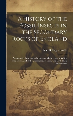 A History of the Fossil Insects in the Secondary Rocks of England - Peter Bellinger Brodie