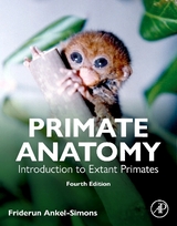 Primate Anatomy - Ankel-Simons, Friderun