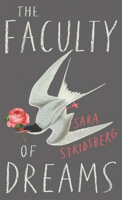 The Faculty of Dreams - Sara Stridsberg