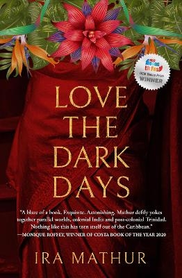 Love the Dark Days - Ira Mathur