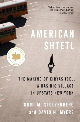 American Shtetl - Nomi M. Stolzenberg, David N. Myers