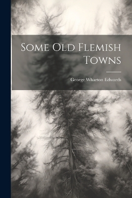 Some Old Flemish Towns - George Wharton Edwards