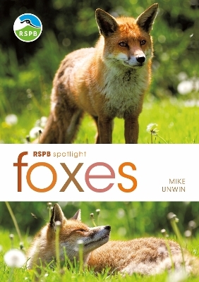 RSPB Spotlight: Foxes - Mike Unwin
