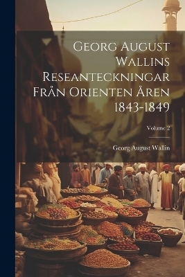 Georg August Wallins Reseanteckningar Från Orienten Åren 1843-1849; Volume 2 - Georg August Wallin