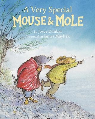 A Very Special Mouse and Mole - Joyce Dunbar, James Mayhew
