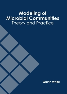 Modeling of Microbial Communities: Theory and Practice - 